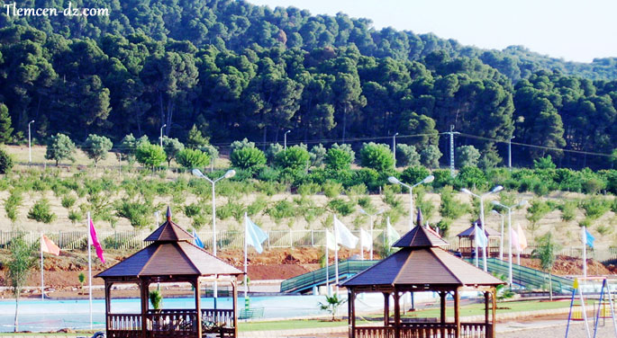 Forêt du Petit Perdreau Tlemcen