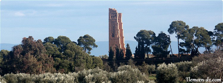 Vue sur la Mansourah Tlemcen