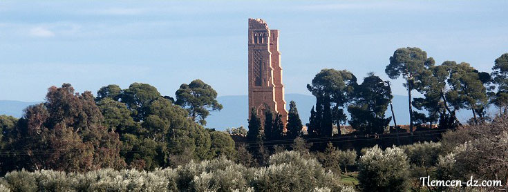 Vue sur l'ancienne mosque de Mansourah  Tlemcen