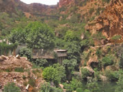 El Ourit Tlemcen