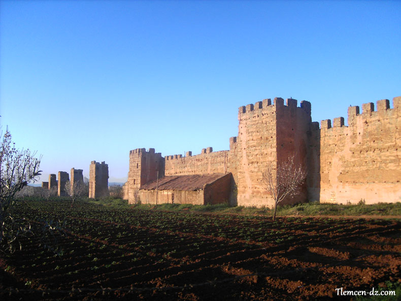 Remparts de la Mansourah Tlemcen