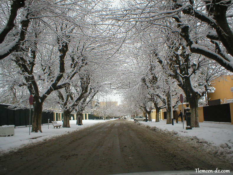 Tlemcen sous la neige