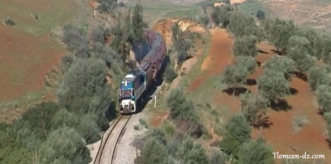 Train  destination de Tlemcen